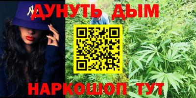 индика Тула