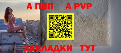 индика Тула