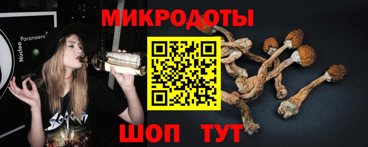 Галлюциногенные грибы мицелий Волжский